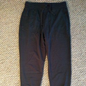 NWT Fabletics Luxe Terry Jogger (Black)
